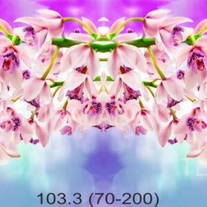 103.3