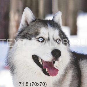 71.8