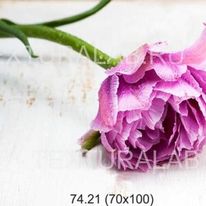 74.21