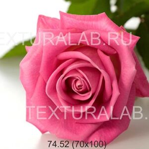 74.52