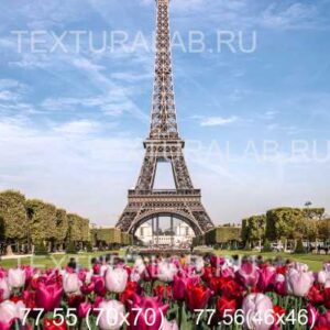 77.55