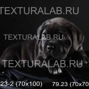 79.23
