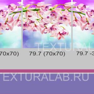 79.7c