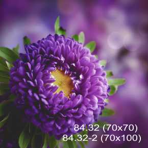 84.32