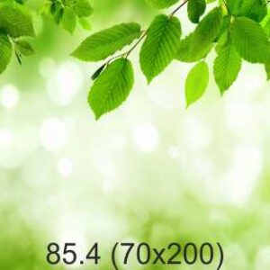 85.4