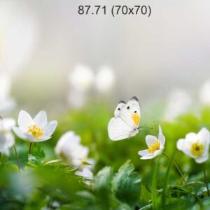 87.71