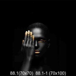 88.1