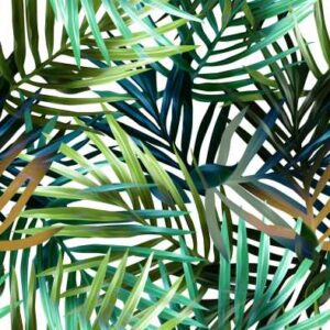 TROPICS