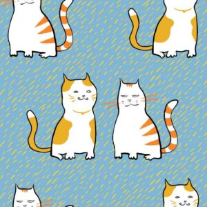 КОТИКИ