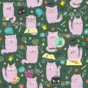 "КОТОШКОЛА (+ 1 цвет)"